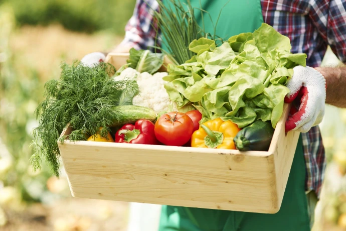 vegetables produce dominican republic
