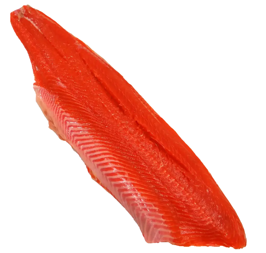 Salmón