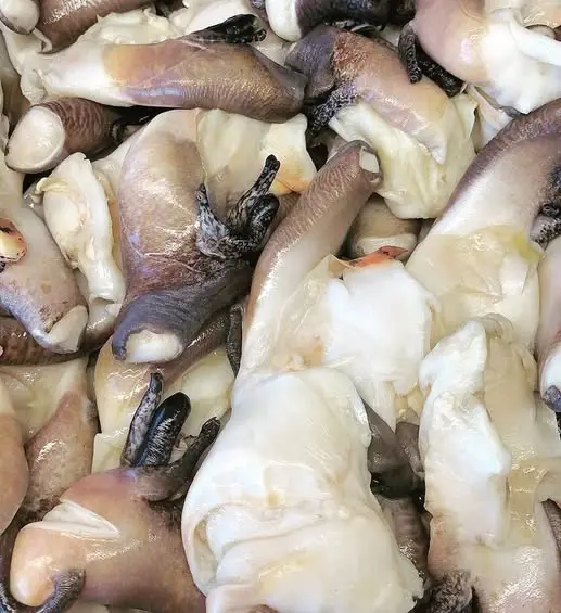 Lambí