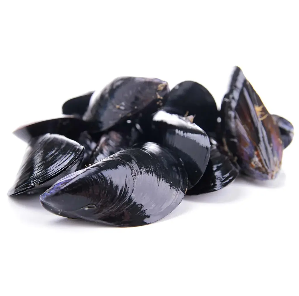 Mejillones