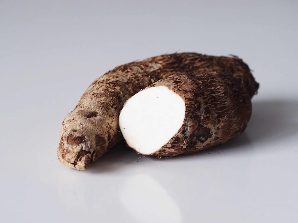 Yautía Bloca