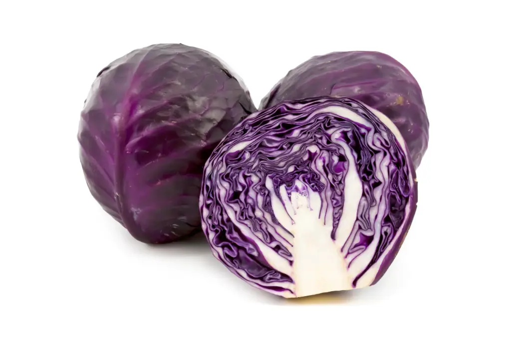 Repollo Morado