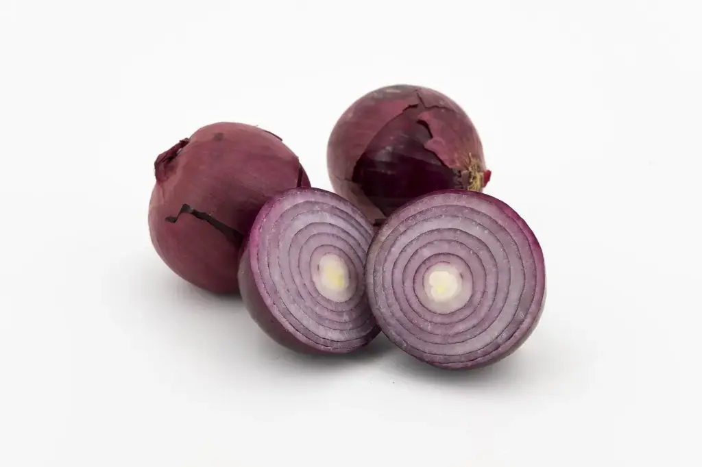 Cebolla Roja