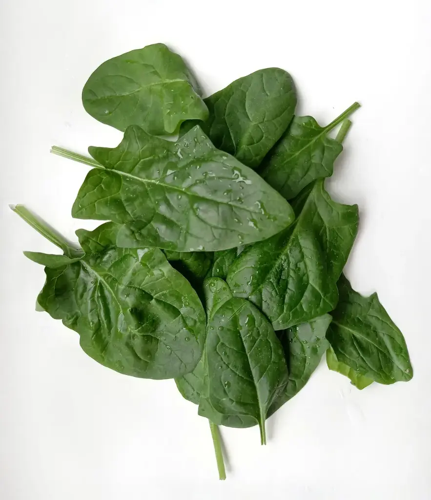 Espinaca