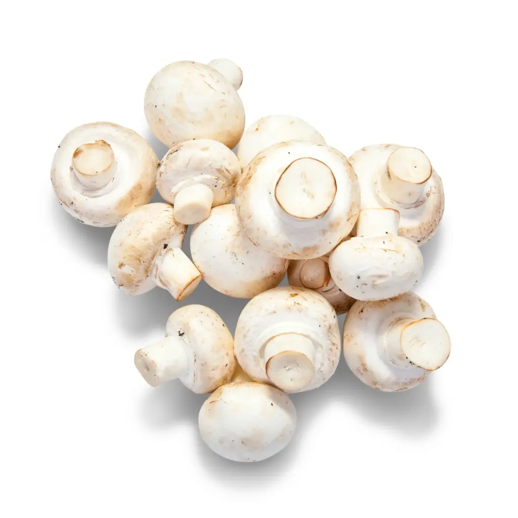 Champiñones