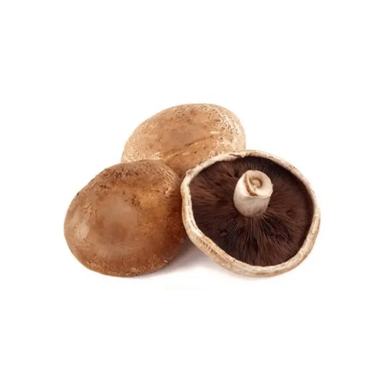 Hongo Portobello