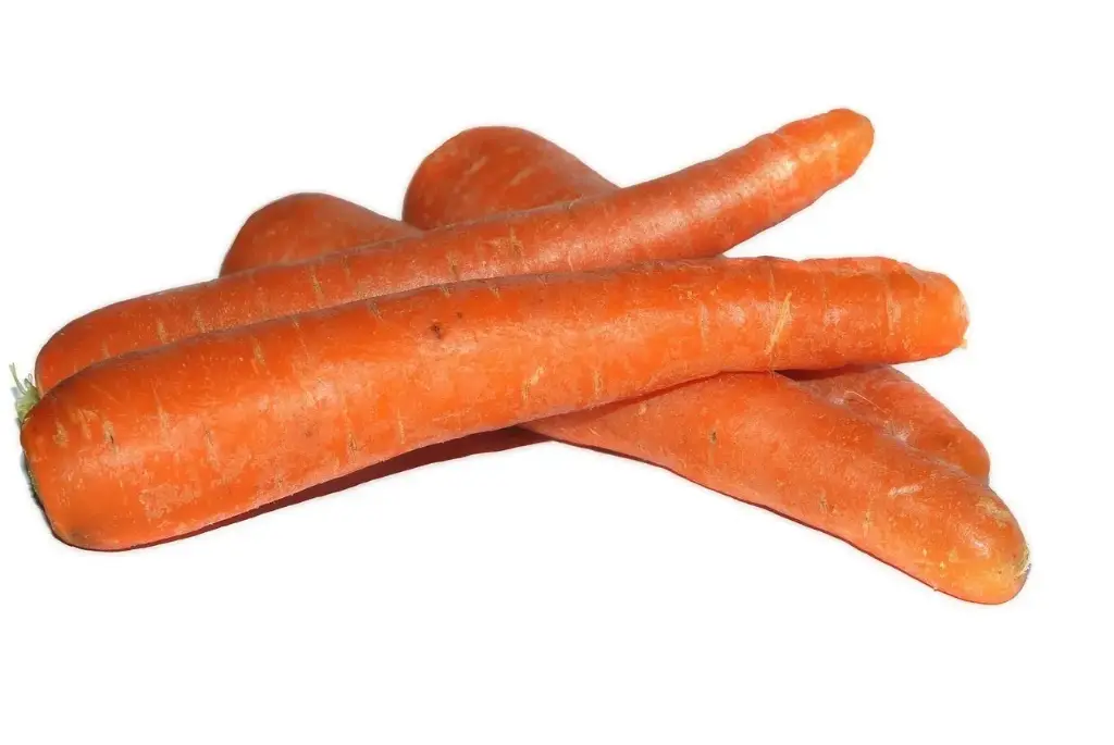 Zanahoria