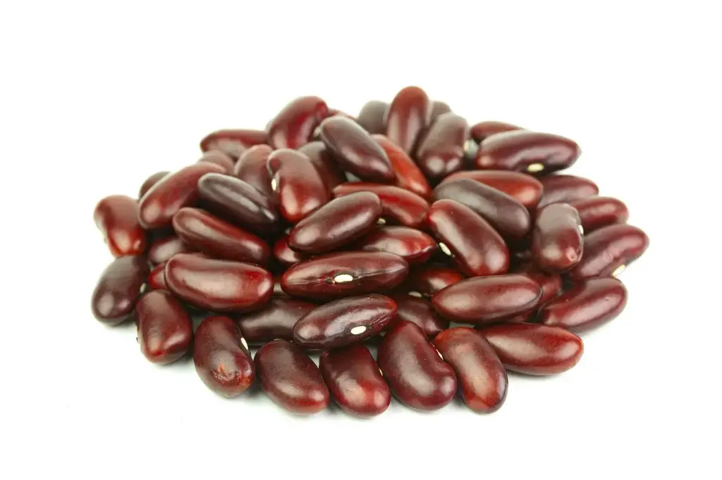 Habichuela Roja