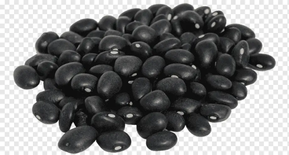 Habichuela Negra