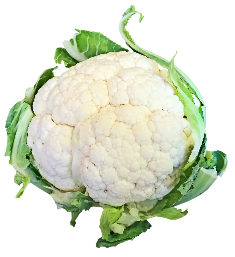 Coliflor