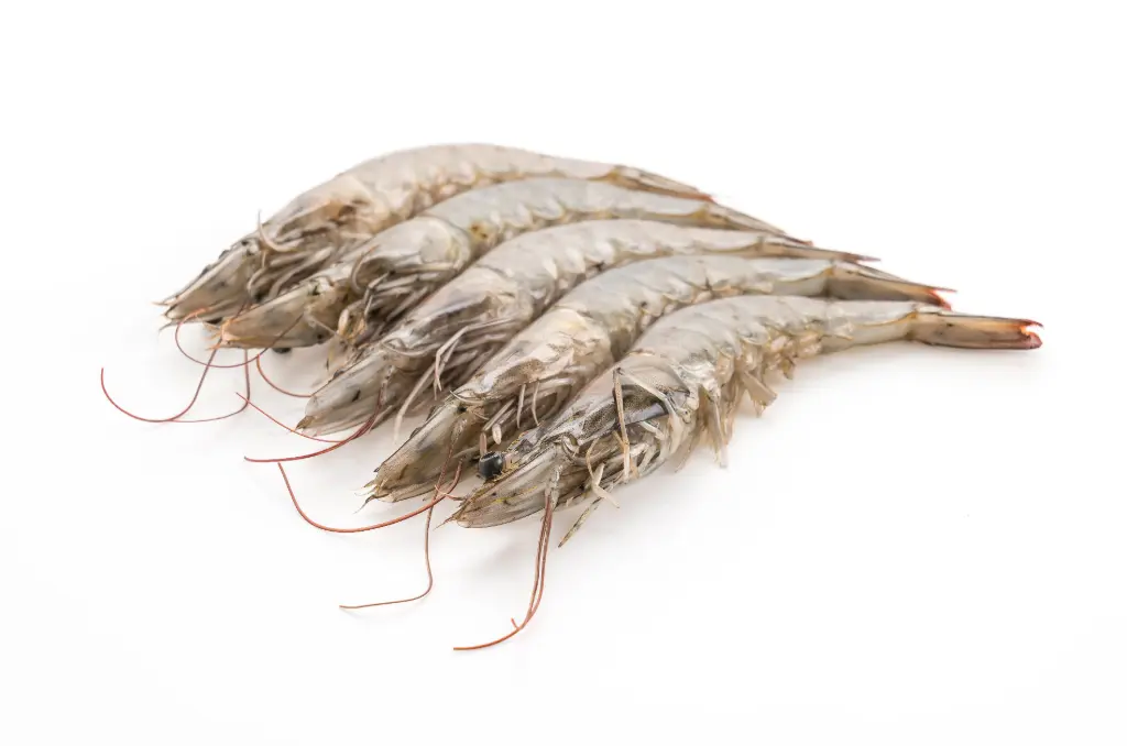 Camarones