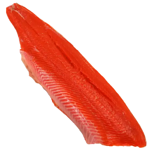 Salmón