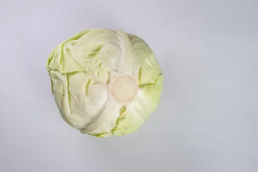 Repollo Blanco
