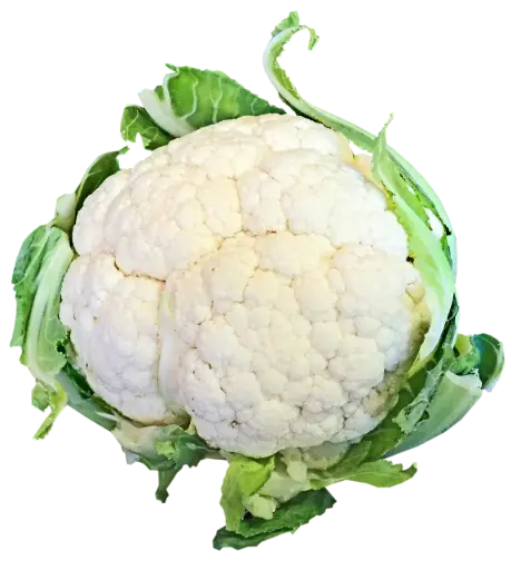 Coliflor